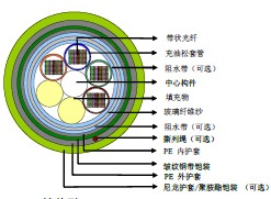 �������׹ܴ�״�ִ���װ���˹���